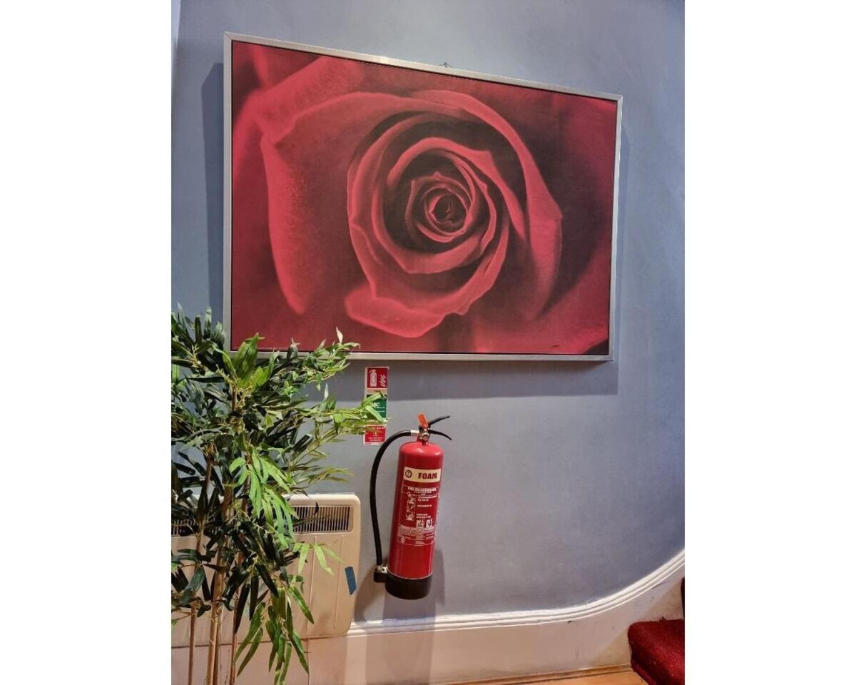 Fb4-Spacious Basement Studio Near Hyde Park 런던 외부 사진